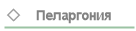 Пеларгония